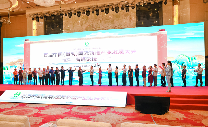 2022首届中国(昆明)国际药膳产业发展大会